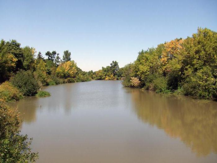 Qu'est-ce qui détermine le niveau d'eau dans la rivière Tom?